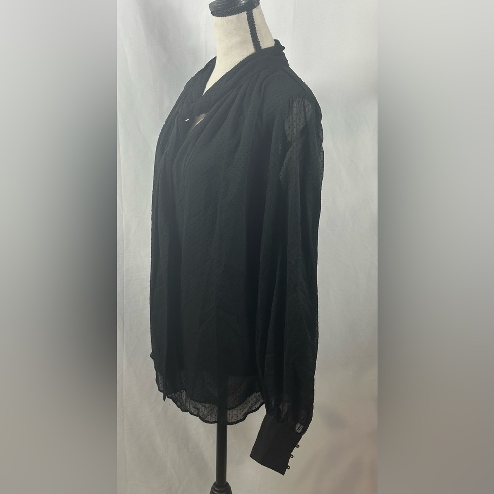 Elegant Black Sheer Blouse - Picture 3 of 9